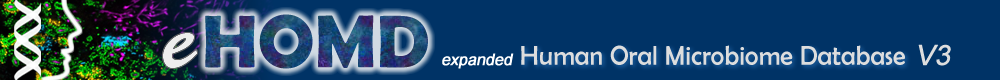 HOMD Banner